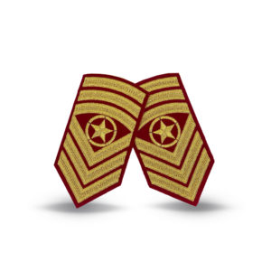 OR8 m/stjerne Galla armdistinksjon, Artilleri, Våpenteknisk korps, Intendantur