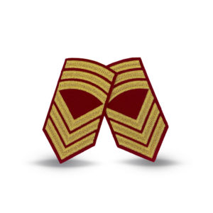 OR8 Galla armdistinksjon, Sanitet, Veterinærkorpset, Prest