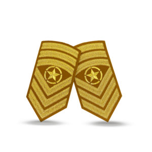OR8 m/stjerne Galla armdistinksjon, Transportkorpset
